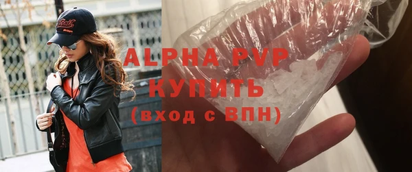 индика Горно-Алтайск
