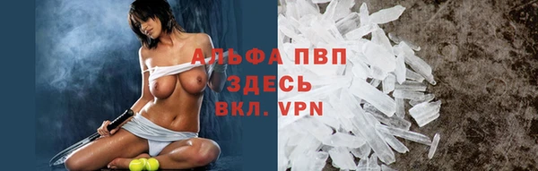 индика Горно-Алтайск