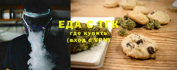индика Горно-Алтайск