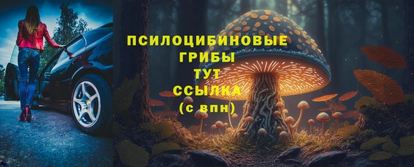mdpv Горняк